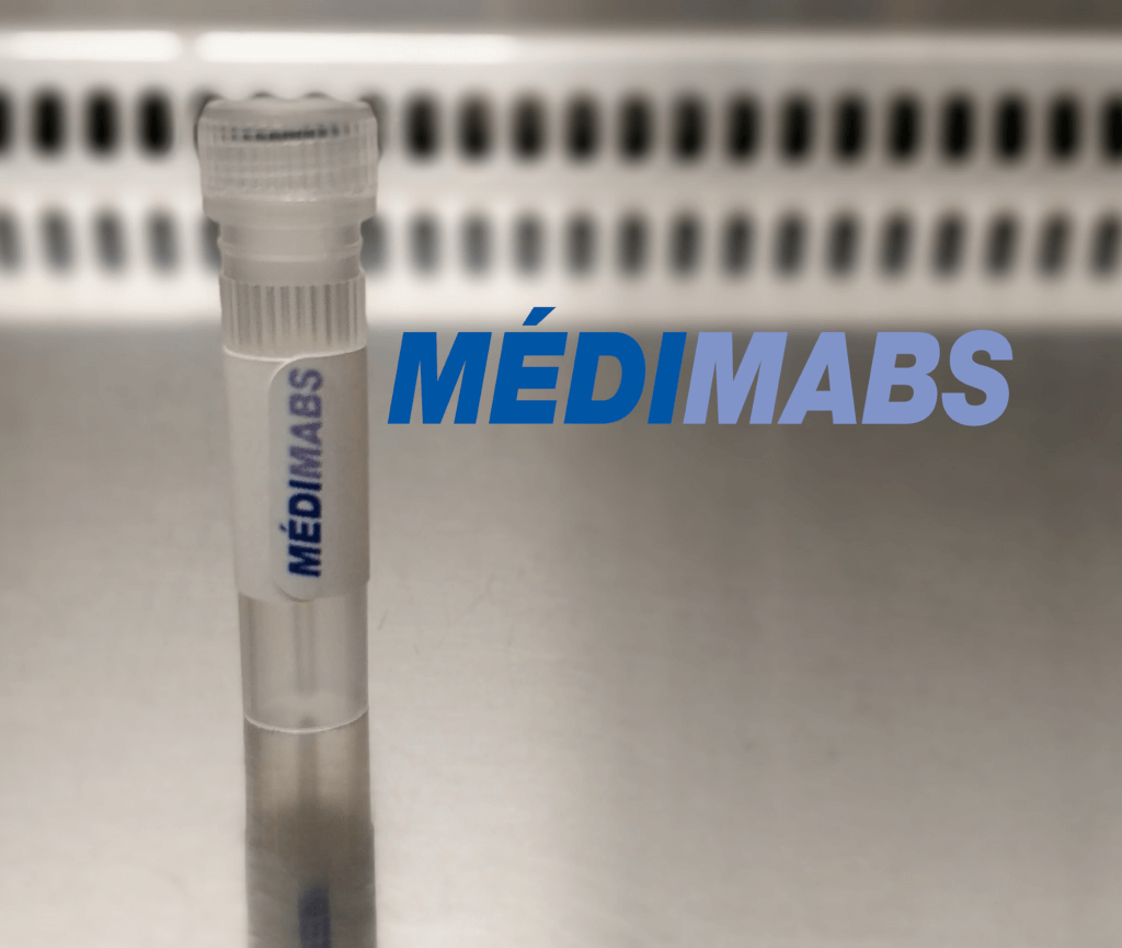 HIV1 (gp41) Human Monoclonal Antibody (5069) MediMabs